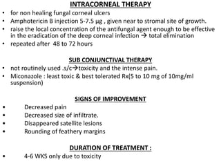 INTRACORNEAL THERAPY
• for non healing fungal corneal ulcers
• Amphotericin B injection 5-7.5 μg , given near to stromal site of growth.
• raise the local concentration of the antifungal agent enough to be effective
in the eradication of the deep corneal infection  total elimination
• repeated after 48 to 72 hours
SUB CONJUNCTIVAL THERAPY
• not routinely used .s/ctoxicity and the intense pain.
• Miconazole : least toxic & best tolerated Rx(5 to 10 mg of 10mg/ml
suspension)
SIGNS OF IMPROVEMENT
• Decreased pain
• Decreased size of infiltrate.
• Disappeared satellite lesions
• Rounding of feathery margins
DURATION OF TREATMENT :
• 4-6 WKS only due to toxicity
 
