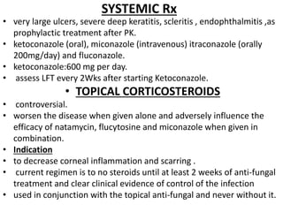 SYSTEMIC Rx
• very large ulcers, severe deep keratitis, scleritis , endophthalmitis ,as
prophylactic treatment after PK.
• ketoconazole (oral), miconazole (intravenous) itraconazole (orally
200mg/day) and fluconazole.
• ketoconazole:600 mg per day.
• assess LFT every 2Wks after starting Ketoconazole.
• TOPICAL CORTICOSTEROIDS
• controversial.
• worsen the disease when given alone and adversely influence the
efficacy of natamycin, flucytosine and miconazole when given in
combination.
• Indication
• to decrease corneal inflammation and scarring .
• current regimen is to no steroids until at least 2 weeks of anti-fungal
treatment and clear clinical evidence of control of the infection
• used in conjunction with the topical anti-fungal and never without it.
 