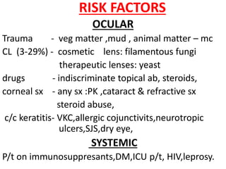 RISK FACTORS
OCULAR
Trauma - veg matter ,mud , animal matter – mc
CL (3-29%) - cosmetic lens: filamentous fungi
therapeutic lenses: yeast
drugs - indiscriminate topical ab, steroids,
corneal sx - any sx :PK ,cataract & refractive sx
steroid abuse,
c/c keratitis- VKC,allergic cojunctivits,neurotropic
ulcers,SJS,dry eye,
SYSTEMIC
P/t on immunosuppresants,DM,ICU p/t, HIV,leprosy.
 