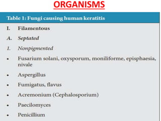ORGANISMS
 