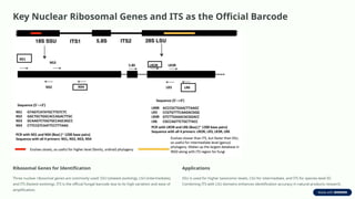 Fungal-Identification-Using-Molecular-Tools-A-Primer-for-Natural ...