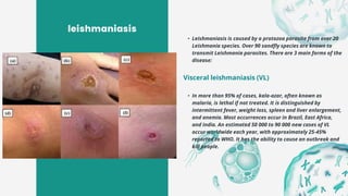 Fungal and Protozoal Infections.pdfkwowosjssh | PDF