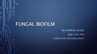 FUNGAL BIOFILM
DR KAMRAN AFZAL
MBBS, FCPS, PHD
CONSULTANT MICROBIOLOGIST
 
