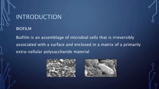 INTRODUCTION
BIOFILM
Biofilm is an assemblage of microbial cells that is irreversibly
associated with a surface and enclosed in a matrix of a primarily
extra-cellular polysaccharide material
 