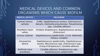 MEDICAL DEVICES AND COMMON
ORGANISMS WHICH CAUSE BIOFILM
MEDICAL DEVICES ORGANISMS
Central venous
catheter
CoNS, Staphylococcus aureus, Enterococcus
faecalis, Klebsiella pneumoniae, Pseudomonas
spp., Candida albicans
Prosthetic heart
valves
Viridans Streptococci, Staphylococcus aureus,
Enterococci
Urinary catheter Staphylococcus epidermidis, E.coli, Klebsiella,
Proteus mirabilis
Intrauterine
device
Staphylococcus epidermidis, Staphylococcus
aureus, Micrococcus spp, Enteroccocci spp,
Group B Streptococci, Candida albicans
Artificial voice
prosthesis
Candida albicans, Streptococcus spp,
Staphylococcus epidermidis.
 