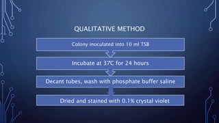 QUALITATIVE METHOD
Decant tubes, wash with phosphate buffer saline
Incubate at 37֯C for 24 hours
Colony inoculated into 10 ml TSB
Dried and stained with 0.1% crystal violet
 