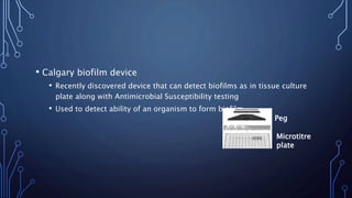 • Calgary biofilm device
• Recently discovered device that can detect biofilms as in tissue culture
plate along with Antimicrobial Susceptibility testing
• Used to detect ability of an organism to form biofilm
Peg
Microtitre
plate
 