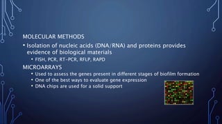 MOLECULAR METHODS
• Isolation of nucleic acids (DNA/RNA) and proteins provides
evidence of biological materials
• FISH, PCR, RT-PCR, RFLP, RAPD
MICROARRAYS
• Used to assess the genes present in different stages of biofilm formation
• One of the best ways to evaluate gene expression
• DNA chips are used for a solid support
 