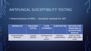 ANTIFUNGAL SUSCEPTIBILITY TESTING
• Determination of MICs – Standard method for AST
APPARATUS ORGANISM
TESTED
FLOW
DYNAMICS
SUBSTRATUM METHOD FOR
REMOVING &
QUANTIFYING
BIOFILM
Perfused biofilm
fermentor
Candida
albicans
Continuous/op
en
system
Cellulose-
acetate filters
Shake in sterile
water, then viable
count
 