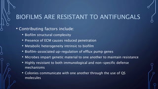 BIOFILMS ARE RESISTANT TO ANTIFUNGALS
• Contributing factors include:
• Biofilm structural complexity
• Presence of ECM causes reduced penetration
• Metabolic heterogeneity intrinsic to biofilm
• Biofilm-associated up-regulation of efflux pump genes
• Microbes impart genetic material to one another to maintain resistance
• Highly resistant to both immunological and non-specific defense
mechanisms
• Colonies communicate with one another through the use of QS
molecules
 