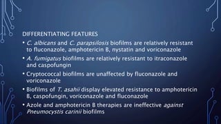 DIFFERENTIATING FEATURES
• C. albicans and C. parapsilosis biofilms are relatively resistant
to fluconazole, amphotericin B, nystatin and voriconazole
• A. fumigatus biofilms are relatively resistant to itraconazole
and caspofungin
• Cryptococcal biofilms are unaffected by fluconazole and
voriconazole
• Biofilms of T. asahii display elevated resistance to amphotericin
B, caspofungin, voriconazole and fluconazole
• Azole and amphotericin B therapies are ineffective against
Pneumocystis carinii biofilms
 