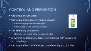 CONTROL AND PREVENTION
• Antifungal mouth wash
• Antifungal impregnated medical devices
• Catheters impregnated with antifungals
• Catheters coated with a cationic surfactant
• Iron chelating compounds
• OMP are expressed when iron is restricted
• Enzymatic degradation, dispersing biofilms with enzymatic
bacteriophage
• Antifungal effects of chitosans and chitooligosaccharides
 