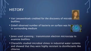 HISTORY
• Van Leeuwenhoek credited for the discovery of microbial
biofilms
• Zobell observed number of bacteria on surface was higher than
in surrounding medium
• Jones used scanning / transmission electron microscopy to
examine biofilms
• Characklis studied microbial slimes in industrial water systems
and showed that they were highly resistant to disinfectants like
chlorine
 