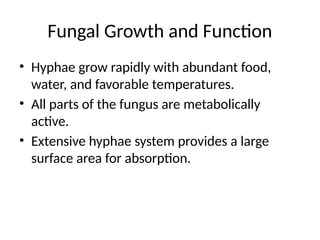 Fungus and- it's _Body_Presentation.pptx