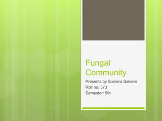 Fungal
Community
Presents by Sumera Saleem
Roll no: 373
Semester: 5th
 