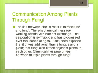 Communication Among Plants
Through Fungi
 The link between plant’s roots is intracellular
and fungi. There is chemical message
working beside with nutrient exchange. The
association is symbiotic and has progressed
over thousands of ages. It has been exposed
that it drives additional than a fungus and a
plant; that fungi also attach adjacent plants to
each other. Chemical message drives
between multiple plants through fungi.
13
 