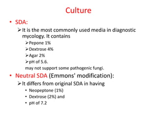 Culture
• SDA:
It is the most commonly used media in diagnostic
mycology. It contains
Pepone 1%
Dextrose 4%
Agar 2%
pH of 5.6.
may not support some pathogenic fungi.
• Neutral SDA (Emmons' modification):
lt differs from original SDA in having
• Neopeptone (1%)
• Dextrose (2%) and
• pH of 7.2
 