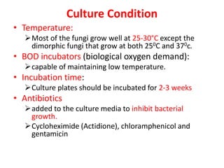 Culture Condition
• Temperature:
Most of the fungi grow well at 25-30°C except the
dimorphic fungi that grow at both 250C and 370c.
• BOD incubators (biological oxygen demand):
capable of maintaining low temperature.
• Incubation time:
Culture plates should be incubated for 2-3 weeks
• Antibiotics
added to the culture media to inhibit bacterial
growth.
Cycloheximide (Actidione), chloramphenicol and
gentamicin
 