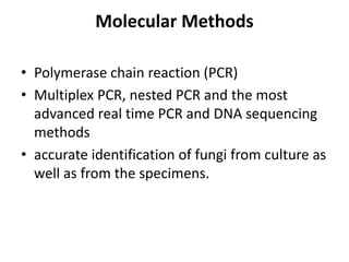 Molecular Methods
• Polymerase chain reaction (PCR)
• Multiplex PCR, nested PCR and the most
advanced real time PCR and DNA sequencing
methods
• accurate identification of fungi from culture as
well as from the specimens.
 