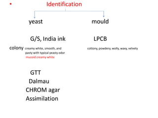 • Identification
yeast mould
G/S, India ink LPCB
colony creamy white, smooth, and cottony, powdery, wolly, waxy, velvety
pasty with typical yeasty odor
mucoid creamy white
GTT
Dalmau
CHROM agar
Assimilation
 