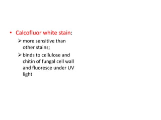 • Calcofluor white stain:
more sensitive than
other stains;
binds to cellulose and
chitin of fungal cell wall
and fluoresce under UV
light
 