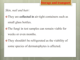 Skin, nail and hair:
They are collected in air-tight containers such as
small glass bottles.
The fungi in test samples can remain viable for
weeks or even months.
They shouldn't be refrigerated as the viability of
some species of dermatophytes is affected.
Storage and transport
 