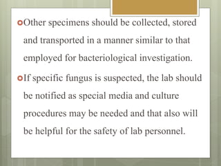Other specimens should be collected, stored
and transported in a manner similar to that
employed for bacteriological investigation.
If specific fungus is suspected, the lab should
be notified as special media and culture
procedures may be needed and that also will
be helpful for the safety of lab personnel.
 