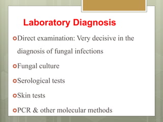 Laboratory Diagnosis
Direct examination: Very decisive in the
diagnosis of fungal infections
Fungal culture
Serological tests
Skin tests
PCR & other molecular methods
 