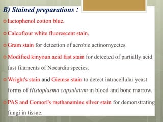 B) Stained preparations :
 lactophenol cotton blue.
 Calcoflour white fluorescent stain.
 Gram stain for detection of aerobic actinomycetes.
 Modified kinyoun acid fast stain for detected of partially acid
fast filaments of Nocardia species.
 Wright's stain and Giemsa stain to detect intracellular yeast
forms of Histoplasma capsulatum in blood and bone marrow.
 PAS and Gomori's methanamine silver stain for demonstrating
fungi in tissue.
 