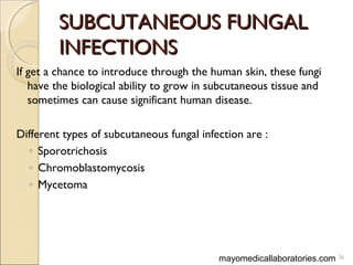 SUBCUTANEOUS FUNGALSUBCUTANEOUS FUNGAL
INFECTIONSINFECTIONS
If get a chance to introduce through the human skin, these fungi
have the biological ability to grow in subcutaneous tissue and
sometimes can cause significant human disease.
Different types of subcutaneous fungal infection are :
◦ Sporotrichosis
◦ Chromoblastomycosis
◦ Mycetoma
36mayomedicallaboratories.com
 