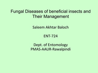 Fungal Diseases of beneficial insects and
Their Management
Saleem Akhtar Baloch
ENT-724
Dept. of Entomology
PMAS-AAUR-Rawalpindi
 