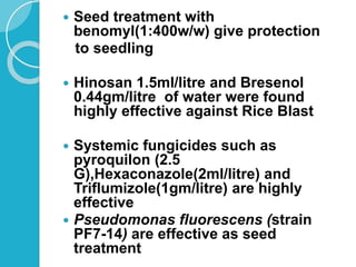 Fungal diseases of RICE.pptx