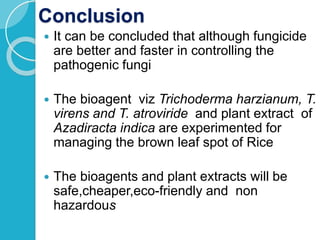 Fungal diseases of RICE.pptx