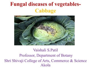 Fungal diseases of vegetables-
Cabbage
Vaishali S.Patil
Professor, Department of Botany
Shri Shivaji College of Arts, Commerce & Science
Akola
 