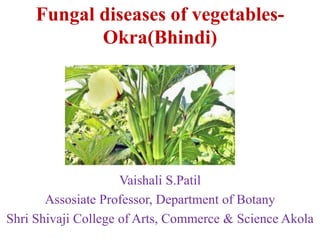 Fungal diseases of vegetables-
Okra(Bhindi)
Vaishali S.Patil
Assosiate Professor, Department of Botany
Shri Shivaji College of Arts, Commerce & Science Akola
 
