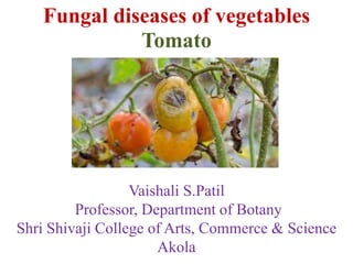 Fungal diseases of vegetables
Tomato
Vaishali S.Patil
Professor, Department of Botany
Shri Shivaji College of Arts, Commerce & Science
Akola
 