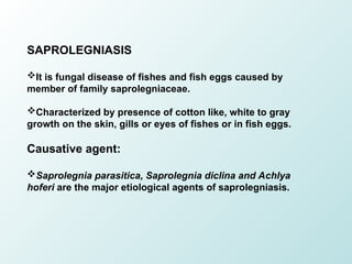 FUNGAL DISEASES IN FISH IN FARMS AND PONDS | PPT