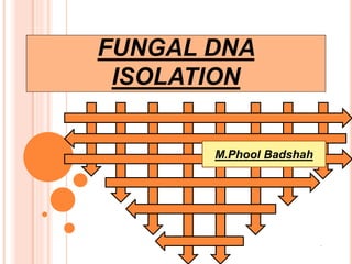 FUNGAL DNA
ISOLATION
qw
M.Phool Badshah
 