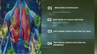 Agenda
Infographic
Overview , General Characteristics
BREIF INTRO TO MYCOLOGY
01
Infections, structure of fungal cell
BRIEF INTRO TO FUNGAL INFECTION
02
ANTI FUNGAL AGENTS AFFECTING CELL WALL
03
.
ANTI FUNGAL AGENTS AFFECTING CELL
MEMBRANE
04
 