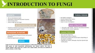 INTRODUCTION TO FUNGI
FUNGAL DISEASE
• Not Highly contagious.
• Humans acquire from nature.
• Epidermis, hair & nails.
• Lower in case of contagious.
GROWTH
• All are chemoheterotrophs.
• Absorption of Nutrients by power Enzymes.
• Grow at lower PH 5
• Grow in High Salt and Sugar
SPECIES
CHARACTERISTICS
• Non vascular Organisms.
• Reproduce by means of spores.
• Produce both sexual and asexual spores depending on
the species condition.
• Typically non motile. Although a few like chytrids have
motile phase.
HETEROTROPHIC NATURE
• Present in soil that has great economically importance
in decaying dead organic matters
PATHOGENIC IN NATURE
• Only 100 species of fungi are human and animals
pathogens.
• Some are opportunistic pathogens
BASIC STRUCTURE
• Cell wall is rigid. (Chitin , Mannan and polysaccharides)
• Cell Membrane contain ergoterols.
Fungi are found all around the world and grow in a wide range of habitats, including deserts.
Most grow on land (terrestrial) environments, but several species live only in
aquatic habitats. Most fungi live in either soil or dead matter, and many are symbionts of
plants, animals, or other fungi.
 