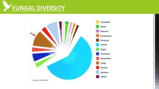 FUNGAL DIVERSITY
 