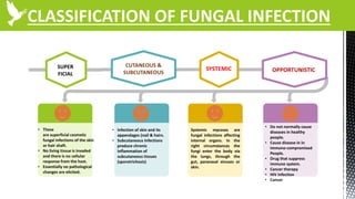 CLASSIFICATION OF FUNGAL INFECTION
CUTANEOUS &
SUBCUTANEOUS
SUPER
FICIAL
SYSTEMIC OPPORTUNISTIC
• These
are superficial cosmetic
fungal infections of the skin
or hair shaft.
• No living tissue is invaded
and there is no cellular
response from the host.
• Essentially no pathological
changes are elicited.
• Infection of skin and its
appendages (nail & hairs.
• Subcutaneous Infections
produce chronic
inflammation of
subcutaneous tissues
(sporotrichosis)
Systemic mycoses are
fungal infections affecting
internal organs. In the
right circumstances the
fungi enter the body via
the lungs, through the
gut, paranasal sinuses or
skin.
• Do not normally cause
diseases in healthy
people.
• Cause disease in in
immuno-compromised
People.
• Drug that suppress
immune system.
• Cancer therapy
• HIV Infection
• Cancer
 
