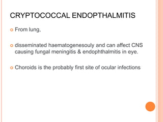 CRYPTOCOCCAL ENDOPTHALMITIS
 From lung,
 disseminated haematogenesouly and can affect CNS
causing fungal meningitis & endophthalmitis in eye.
 Choroids is the probably first site of ocular infections
 