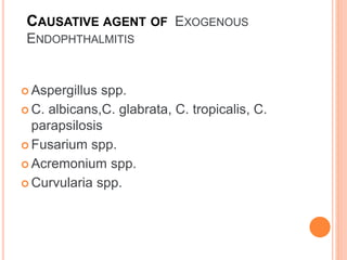 CAUSATIVE AGENT OF EXOGENOUS
ENDOPHTHALMITIS
 Aspergillus spp.
 C. albicans,C. glabrata, C. tropicalis, C.
parapsilosis
 Fusarium spp.
 Acremonium spp.
 Curvularia spp.
 