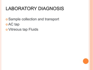 LABORATORY DIAGNOSIS
 Sample collection and transport
 AC tap
 Vitreous tap Fluids
 