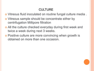 CULTURE
 Vitreous fluid inoculated on routine fungal culture media .
 Vitreous sample should be concentrate either by
centrifugation Millipore filtration
 All the culture checked everyday during first week and
twice a week during next 3 weeks.
 Positive culture are more convincing when growth is
obtained on more than one occasion.
 