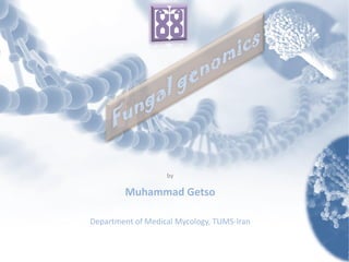by
Muhammad Getso
Department of Medical Mycology, TUMS-Iran
 