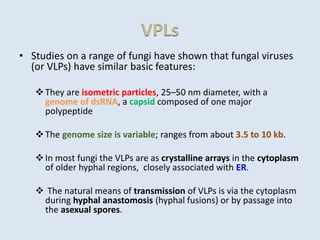VPLs
• Studies on a range of fungi have shown that fungal viruses
(or VLPs) have similar basic features:
They are isometric particles, 25–50 nm diameter, with a
genome of dsRNA, a capsid composed of one major
polypeptide
The genome size is variable; ranges from about 3.5 to 10 kb.
In most fungi the VLPs are as crystalline arrays in the cytoplasm
of older hyphal regions, closely associated with ER.
 The natural means of transmission of VLPs is via the cytoplasm
during hyphal anastomosis (hyphal fusions) or by passage into
the asexual spores.
 