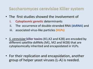 Saccharomyces cerevisiae Killer system
• The first studies showed the involvement of
i. Cytoplasmic genetic determinants
ii. The occurrence of double-stranded RNA (dsRNA) and
iii. associated virus-like particles (VLPs)
• S. cerevisiae killer toxins (K1,K2 and K28) are encoded by
different satellite dsRNAs (M1, M2 and M28) that are
cytoplasmically inherited and encapsidated in VLPs.
• For their replication and encapsidation, another
group of helper yeast viruses (L-A) is needed.
 