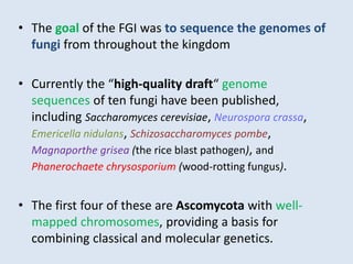 • The goal of the FGI was to sequence the genomes of
fungi from throughout the kingdom
• Currently the “high-quality draft“ genome
sequences of ten fungi have been published,
including Saccharomyces cerevisiae, Neurospora crassa,
Emericella nidulans, Schizosaccharomyces pombe,
Magnaporthe grisea (the rice blast pathogen), and
Phanerochaete chrysosporium (wood-rotting fungus).
• The first four of these are Ascomycota with well-
mapped chromosomes, providing a basis for
combining classical and molecular genetics.
 